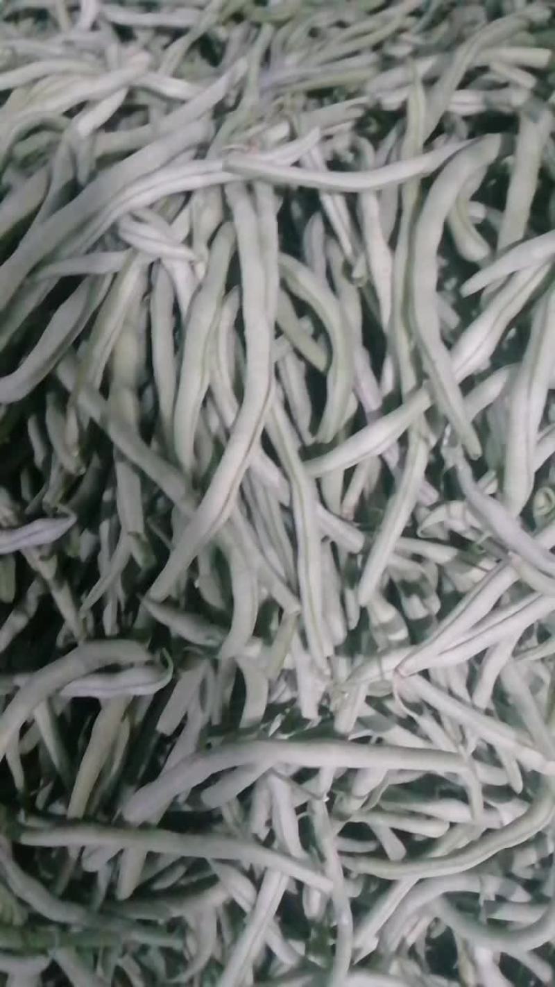 架豆王