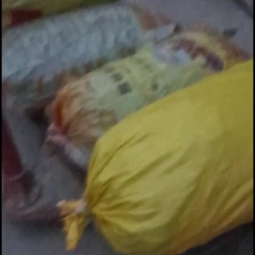 四季豆产地直发！货源充足，品质保证，诚信经营