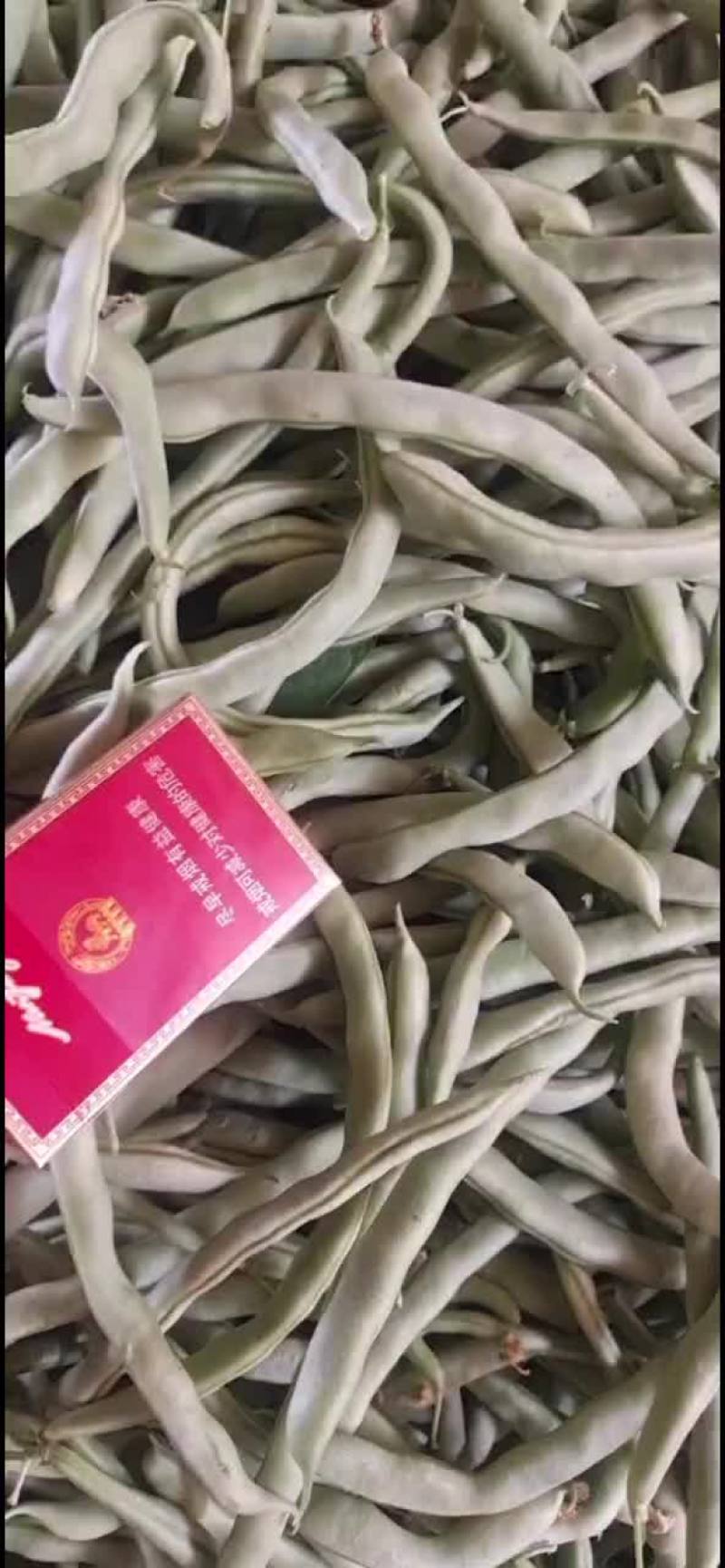 四季豆产地直发！货源充足，品质保证，诚信经营