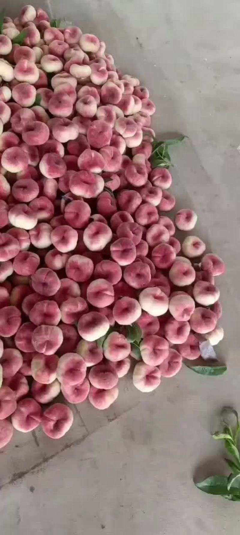 蟠桃
