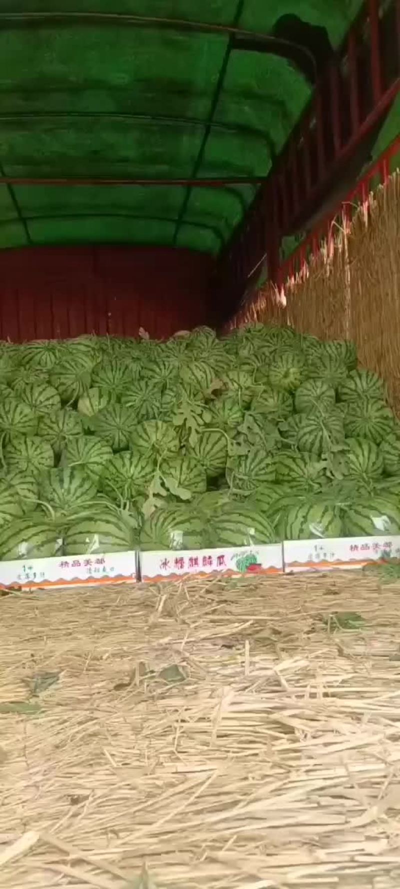 无子美都