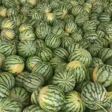 8424物美价廉