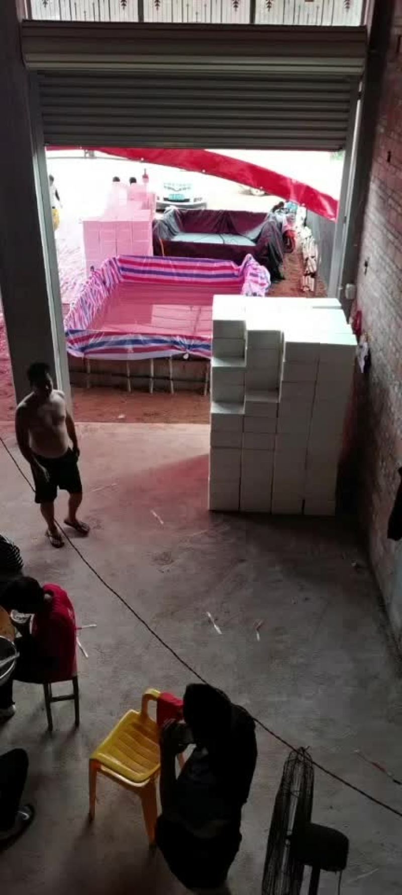 灵山荔枝黑叶。