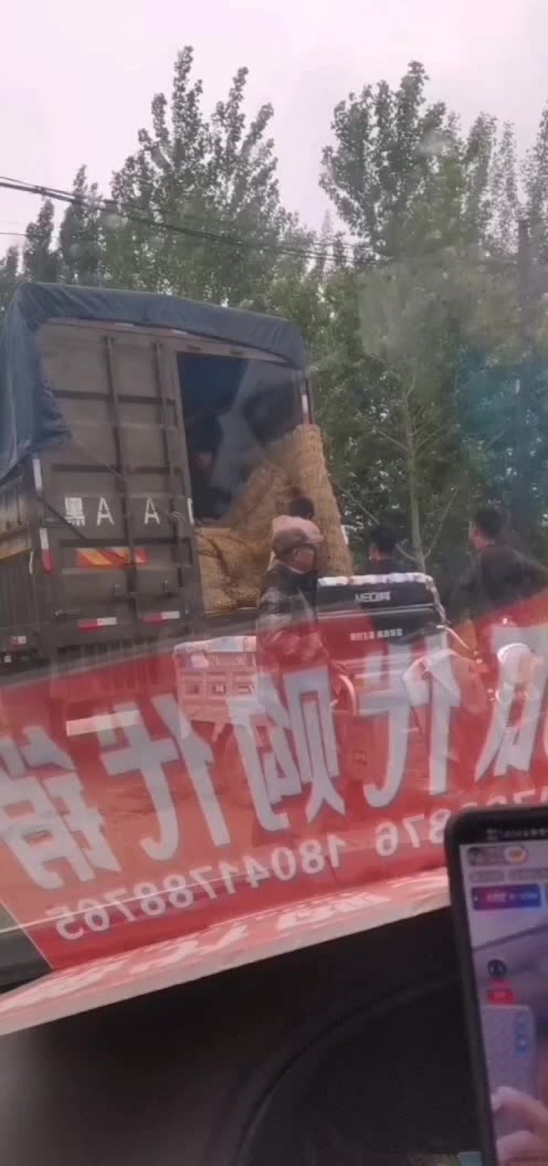 盖县西瓜大掉价中，欢迎老板选购，全国代发，保证质量