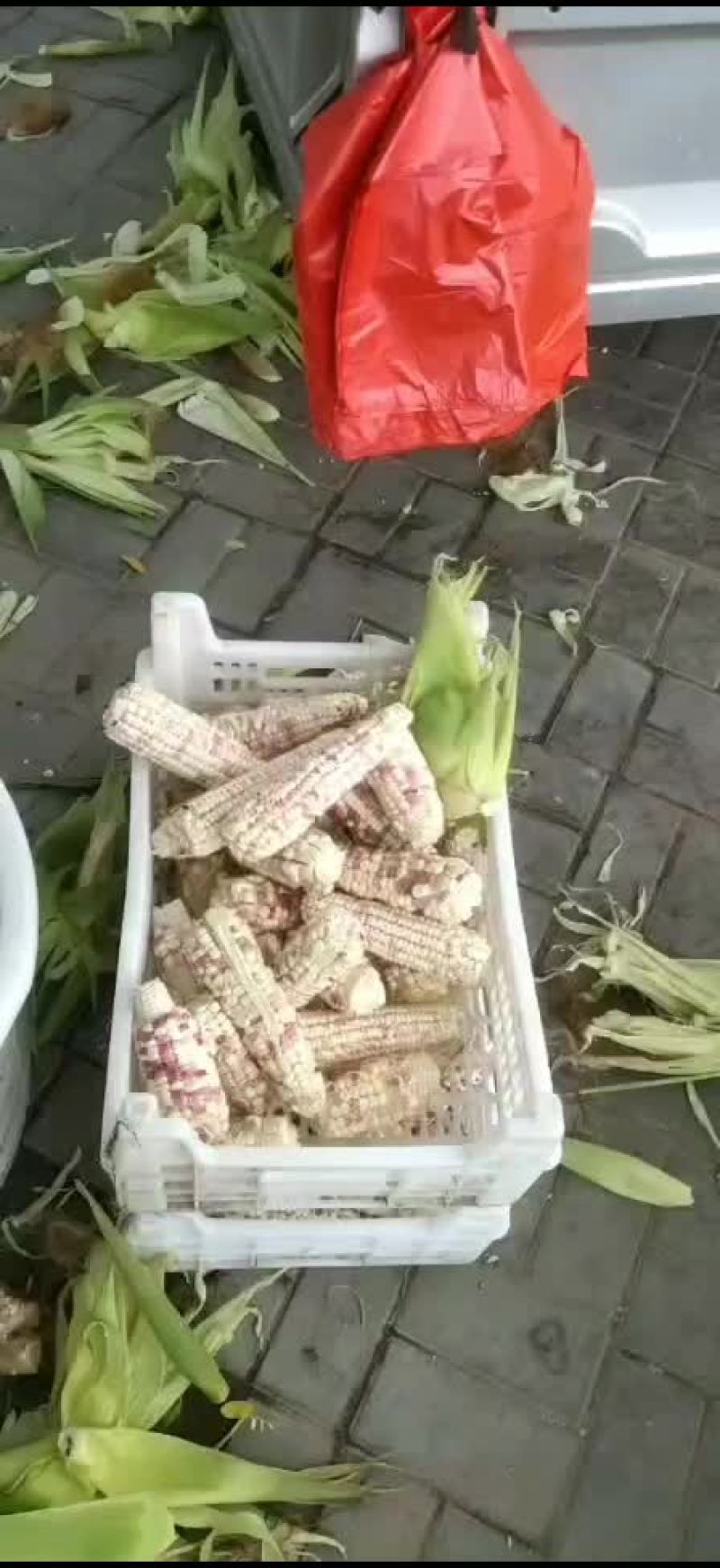 南瓜