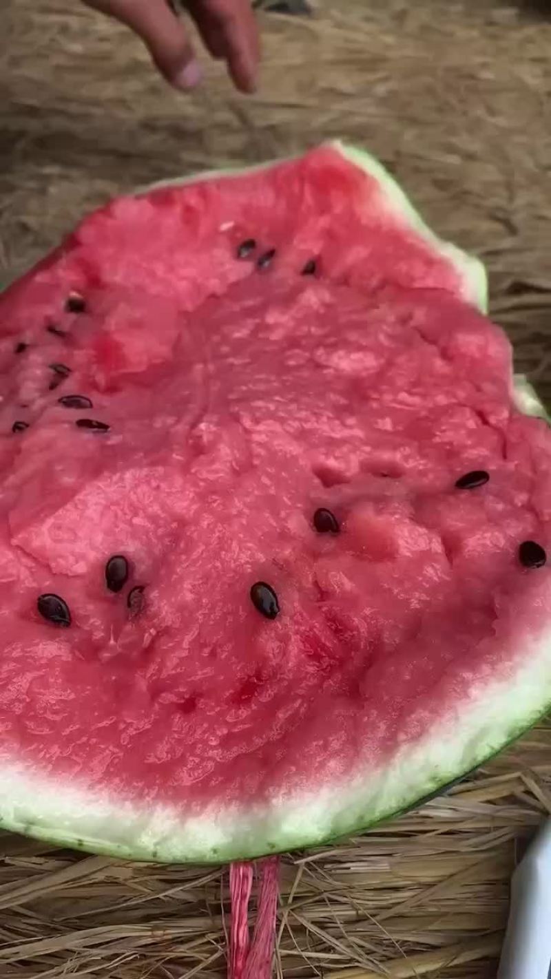西瓜