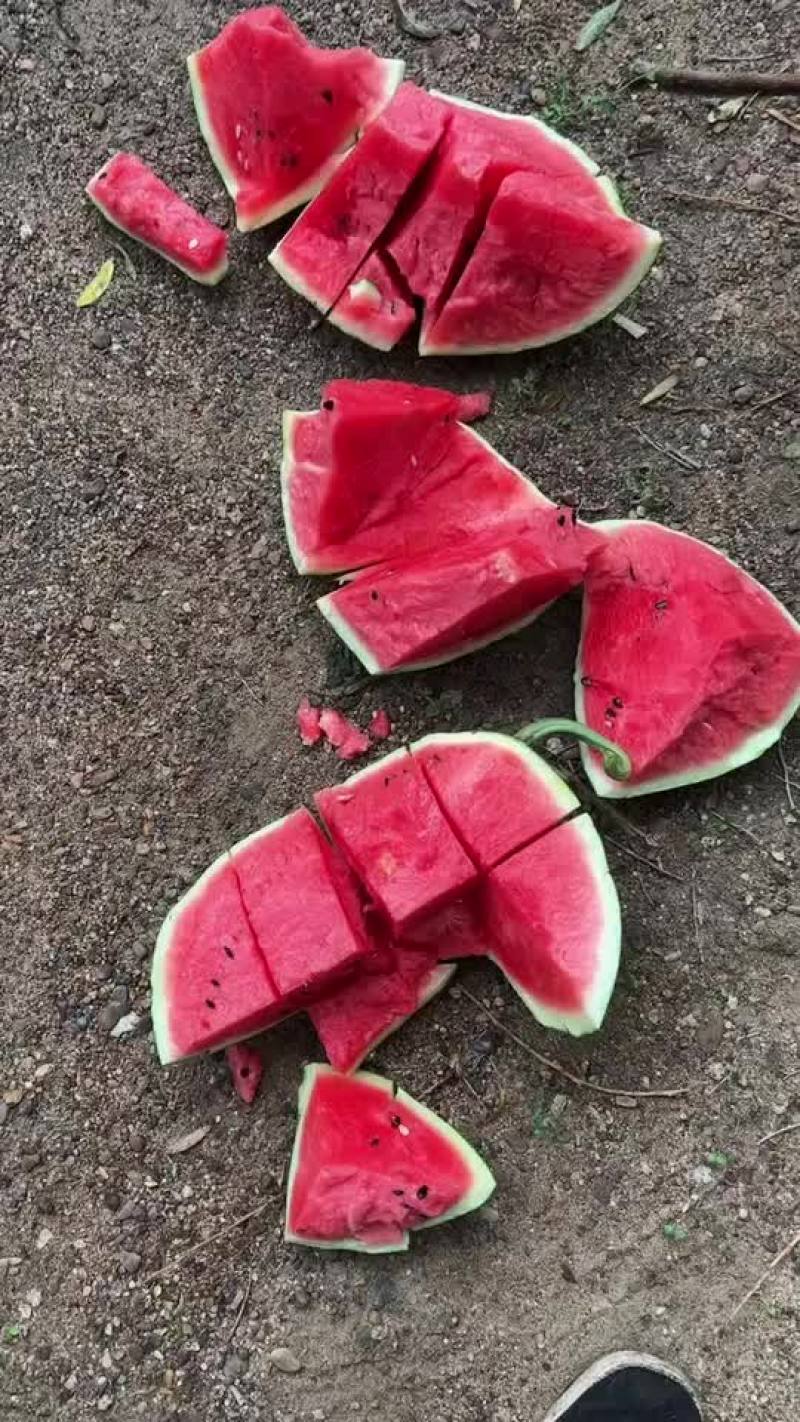 西瓜