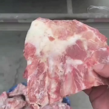 小排