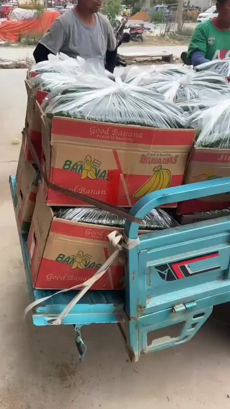 发车中
