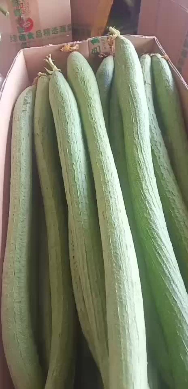 丝瓜