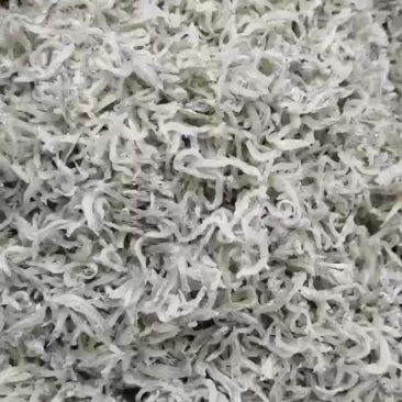 丁香鱼