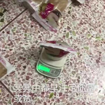 雪燕