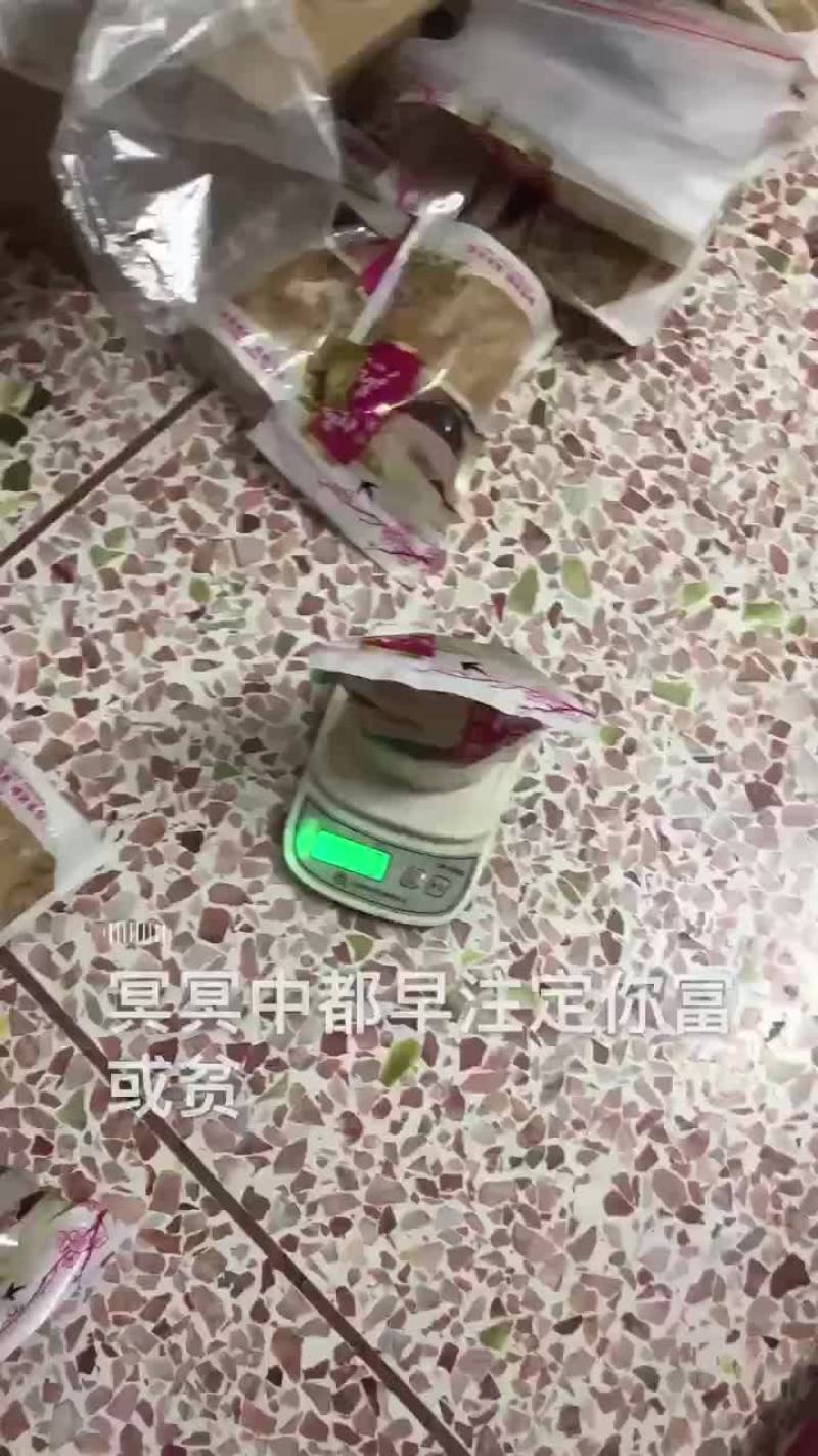 雪燕