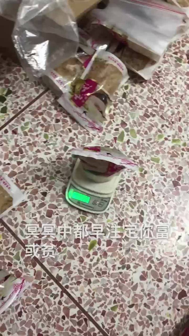 雪燕