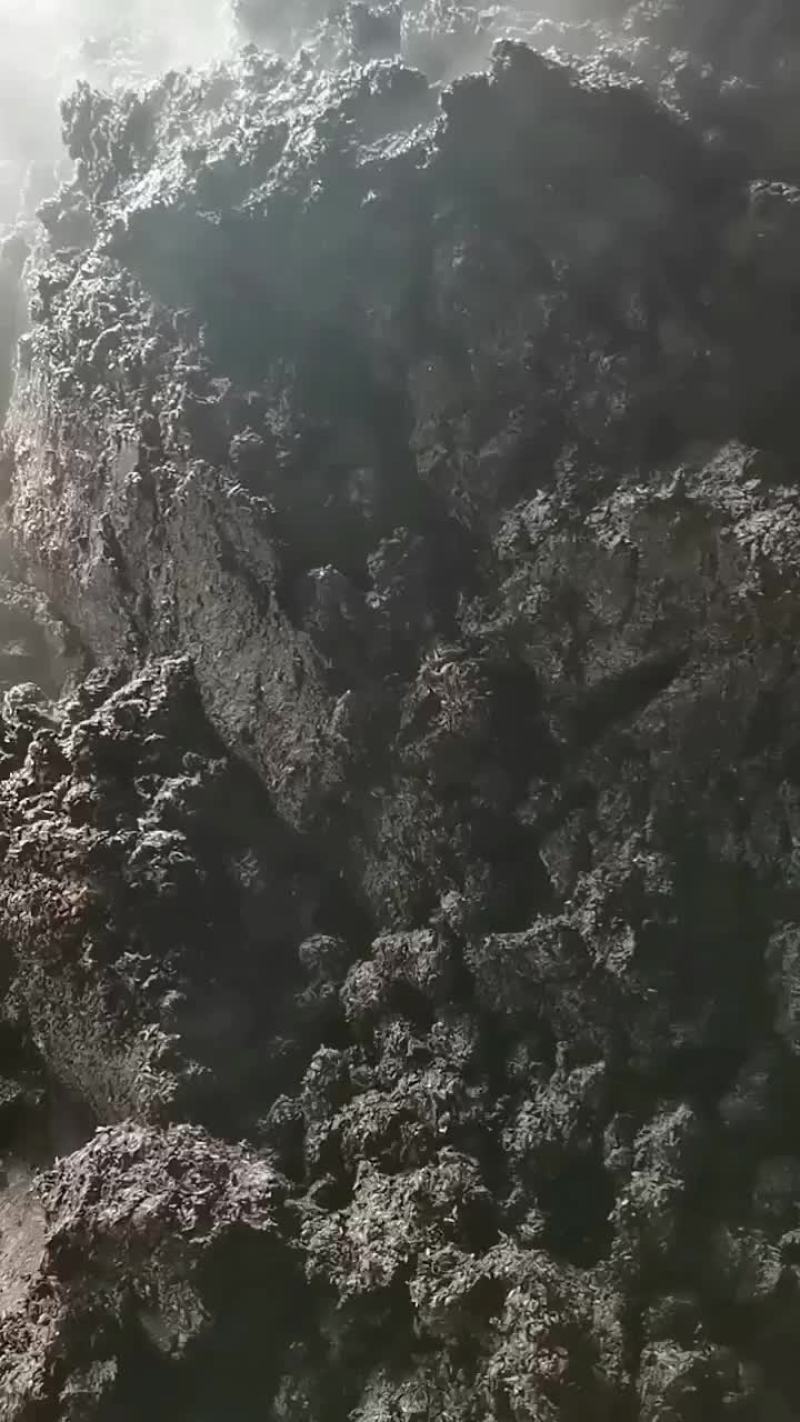茅台酒糟