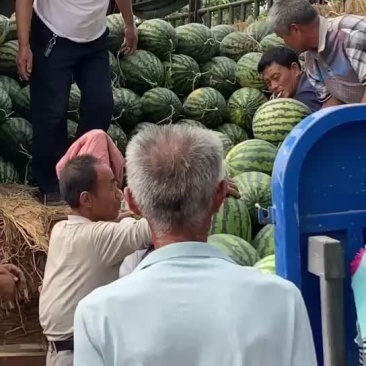 甜王西瓜