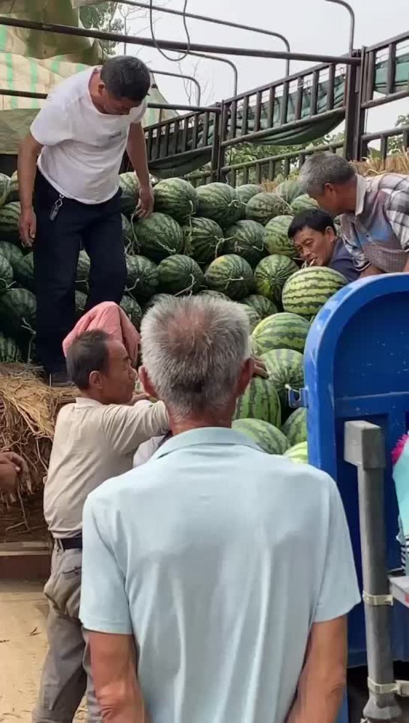 甜王西瓜