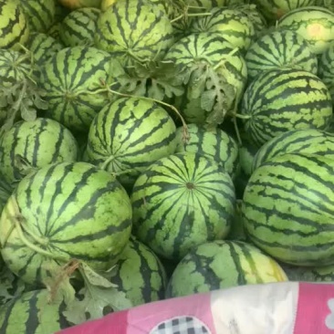 开封西瓜