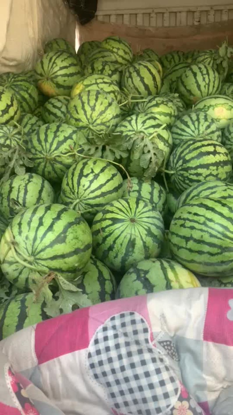 开封西瓜