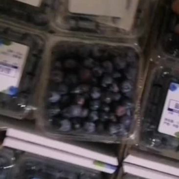 红果蓝莓