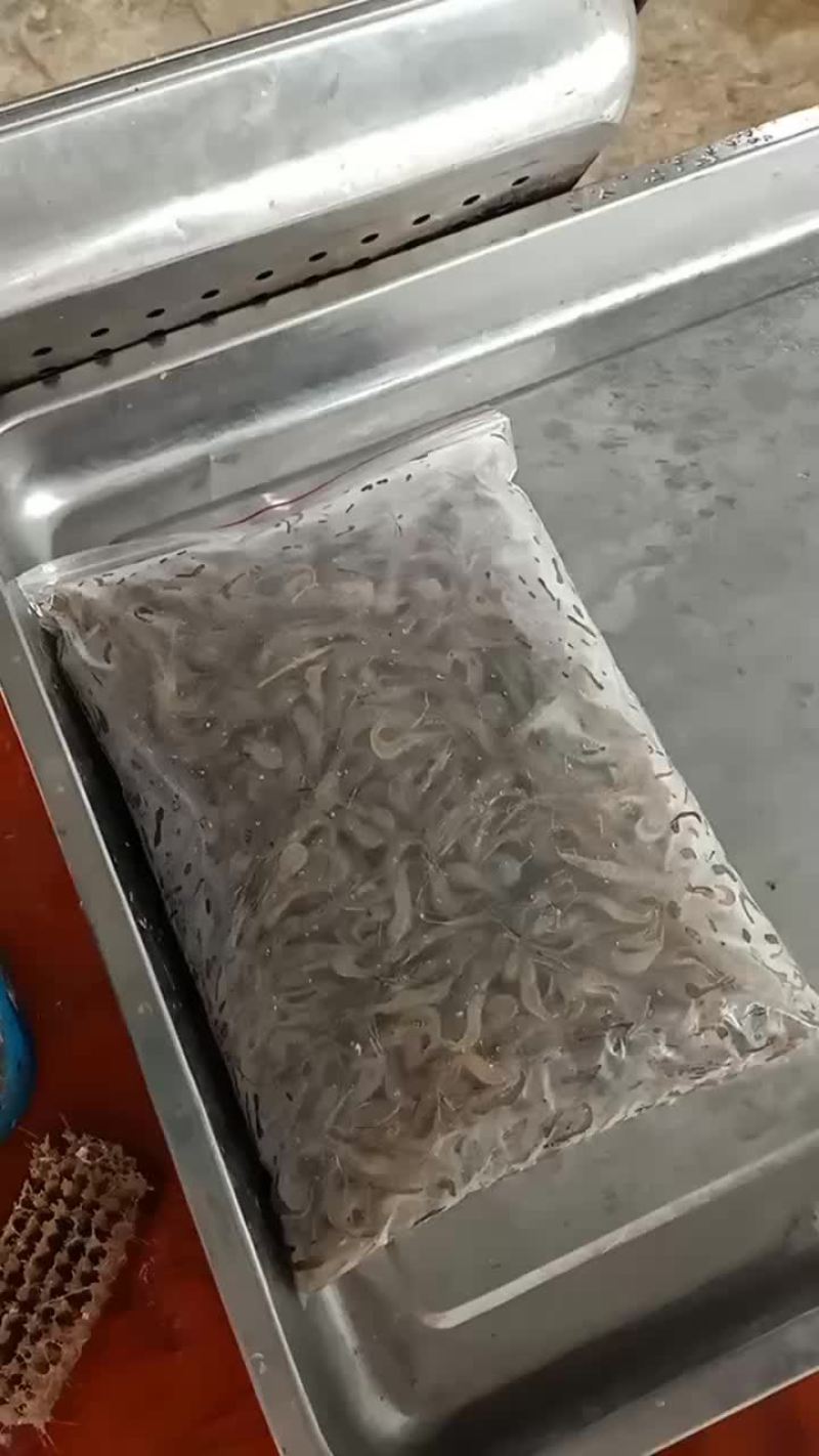 冻板小河虾