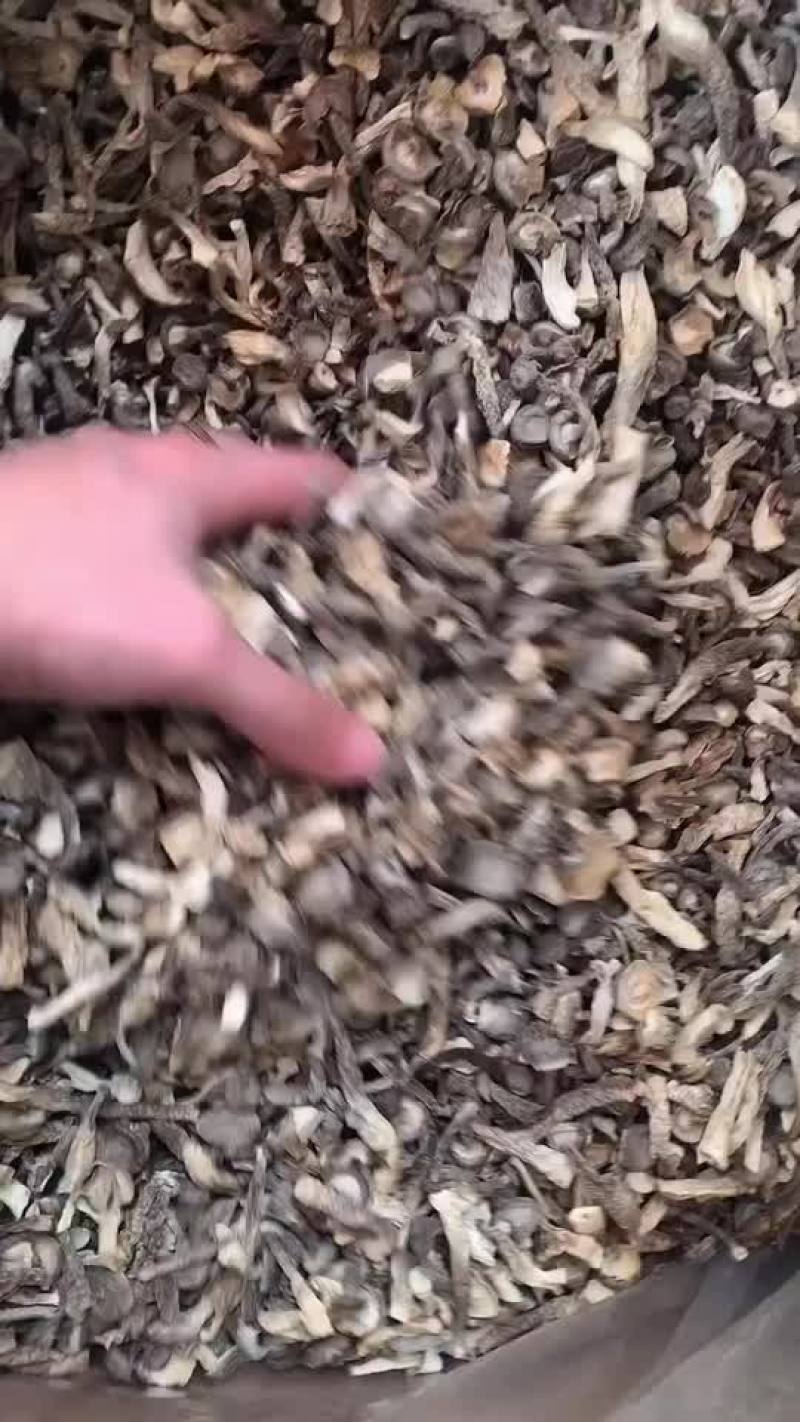 鹿茸菇碎