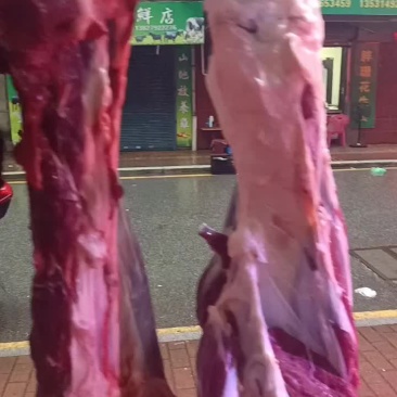 牛肉，牛腩，牛排，牛肚，牛鞭，牛脚