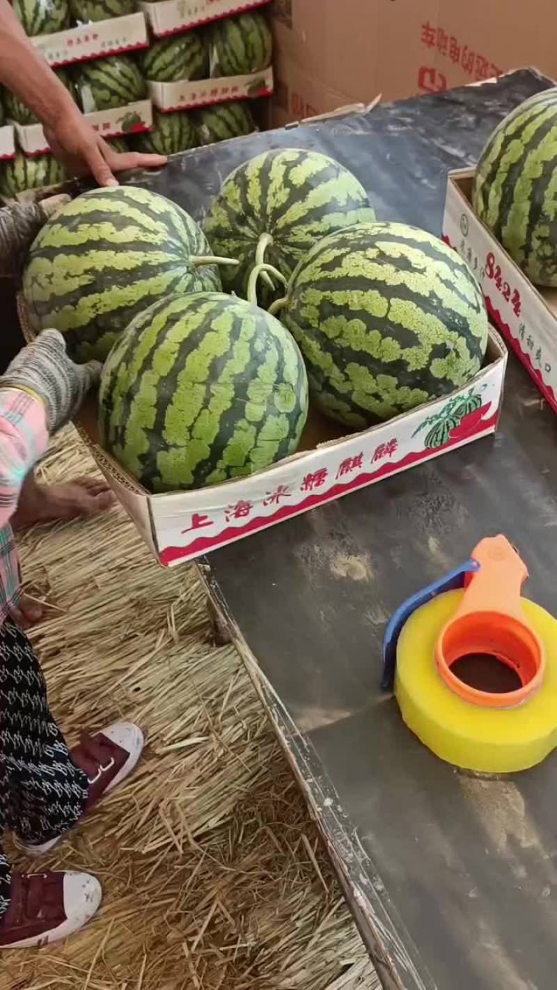 开封通许西瓜大量上市，本人专业代发，经验丰富，资源广泛