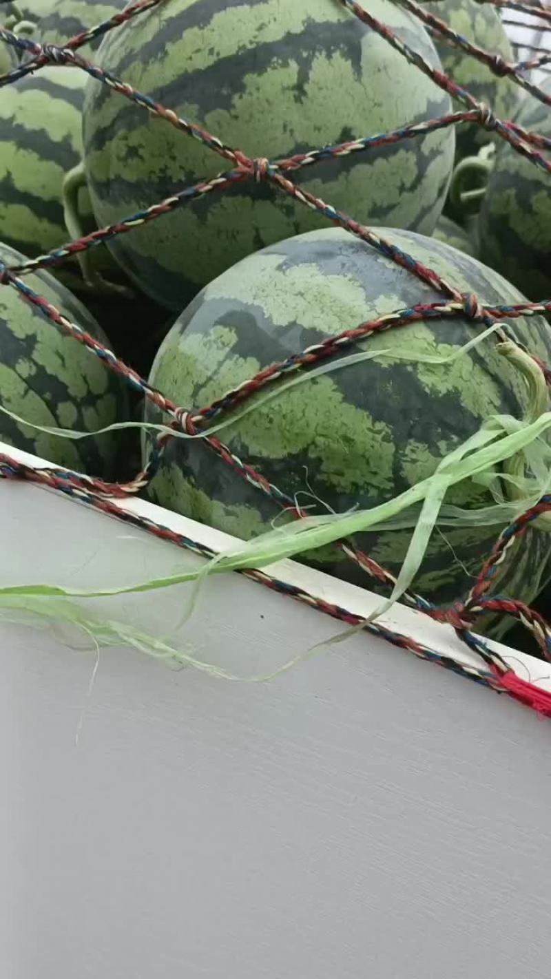 开封通许西瓜大量上市，本人专业代发，经验丰富，资源广泛