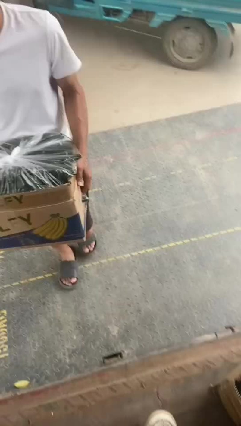 黄瓜装车中