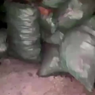 老挝工业木炭