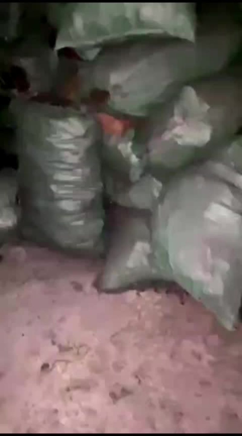 老挝工业木炭
