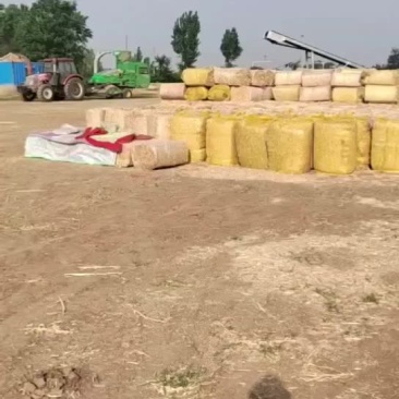 麦秸秆