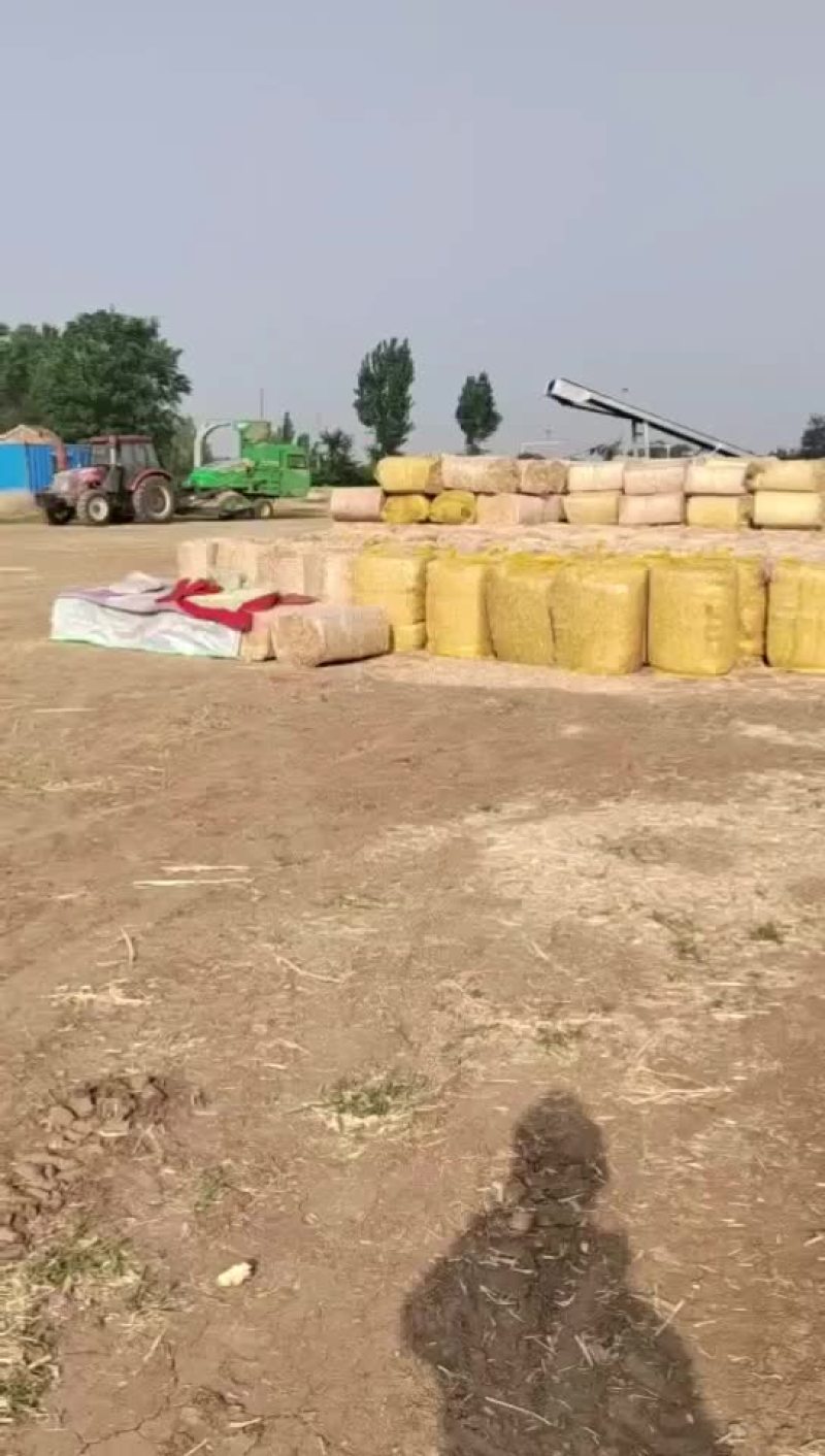 麦秸秆