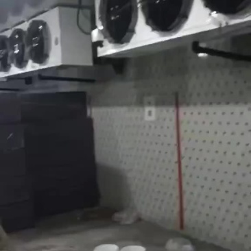 ，冷库14×14.5×3无底板，一半保鲜一般冷冻