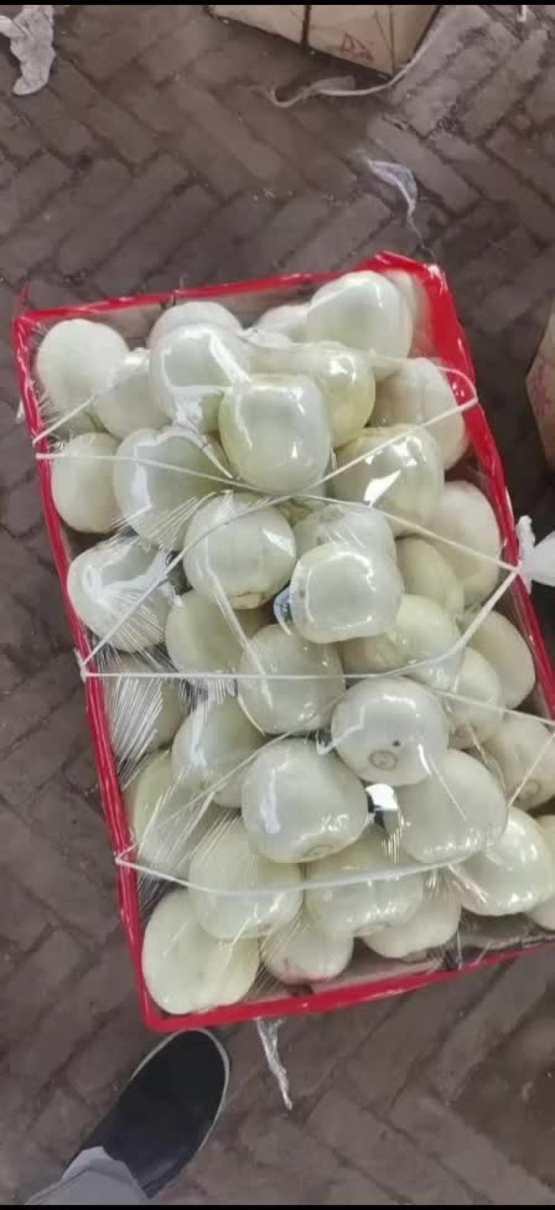 大庆甜瓜