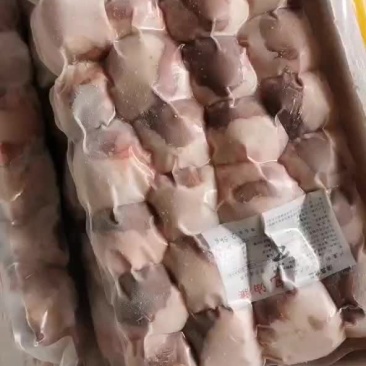 精品羊腰子