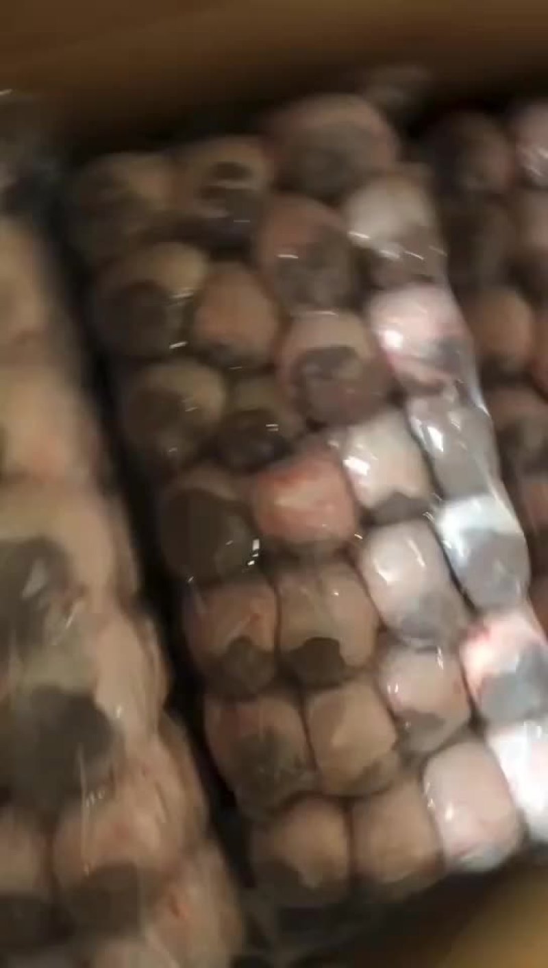 精品羊腰子