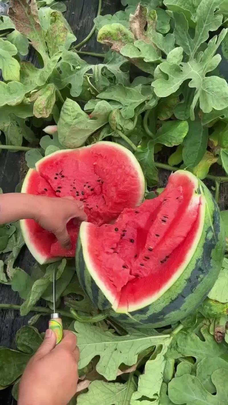 西瓜
