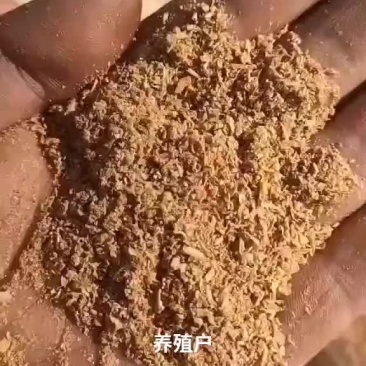 烘干腐竹渣常年有货，蛋白20，脂肪5，可代替豆粕降低
