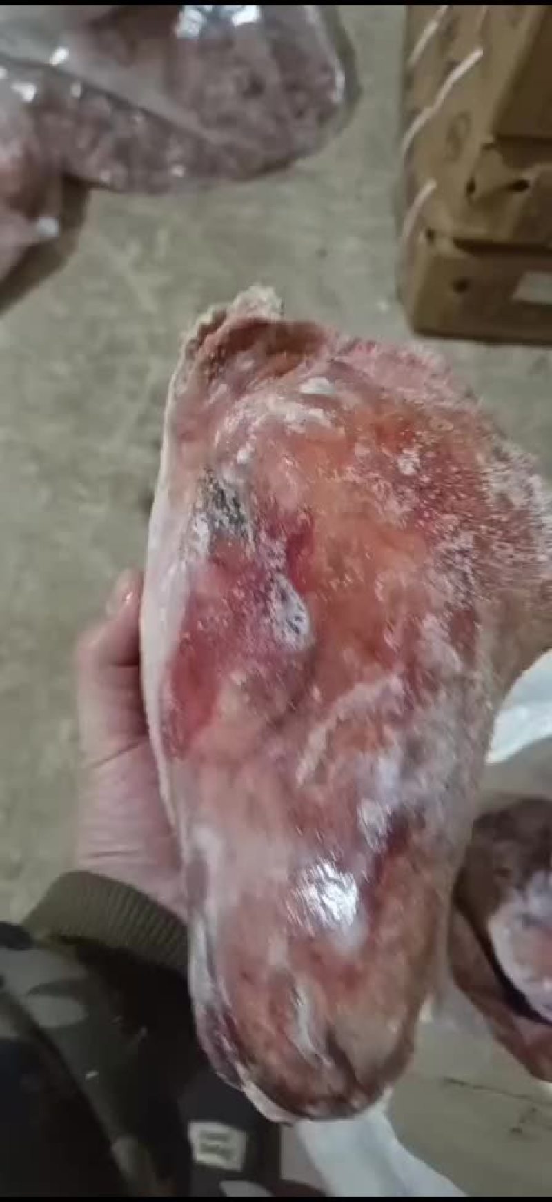 火燎小羊头