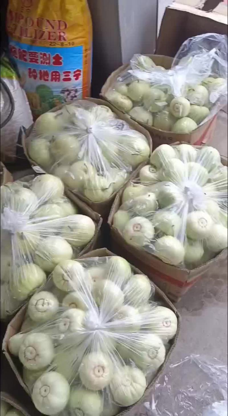甜宝甜瓜口感清脆可口
