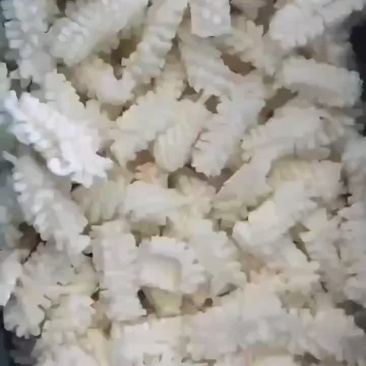 纯干内销目鱼花