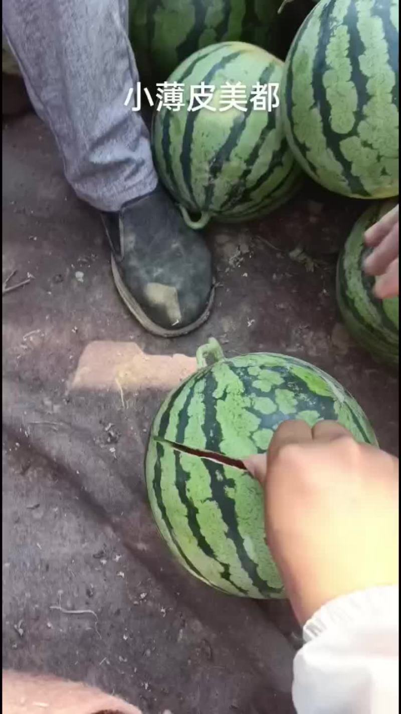 美都西瓜