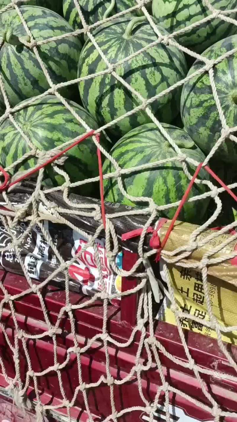 美都西瓜
