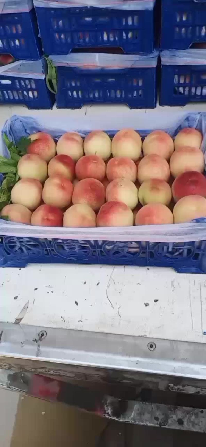 来吧仙桃，价格可以，质量很好