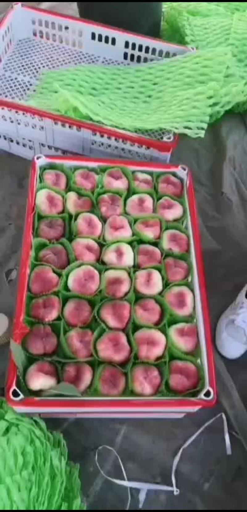 蟠桃