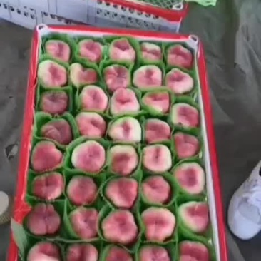 蟠桃