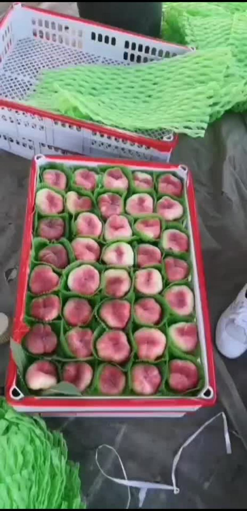 蟠桃