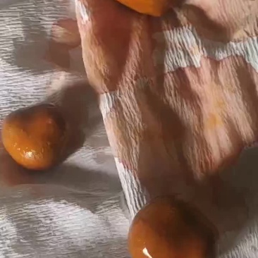 天然牛黄